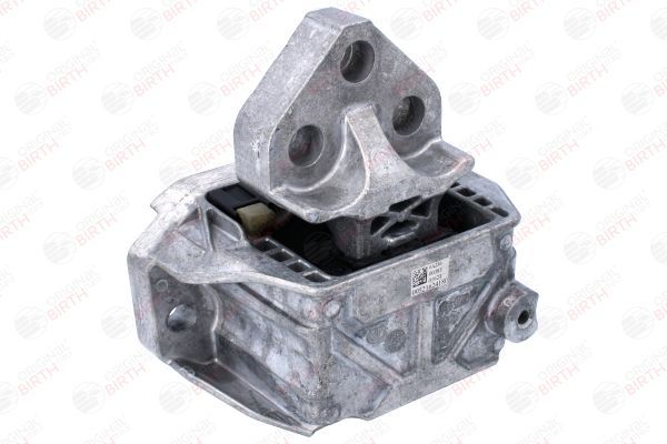 Variklio montavimas BIRTH 53788