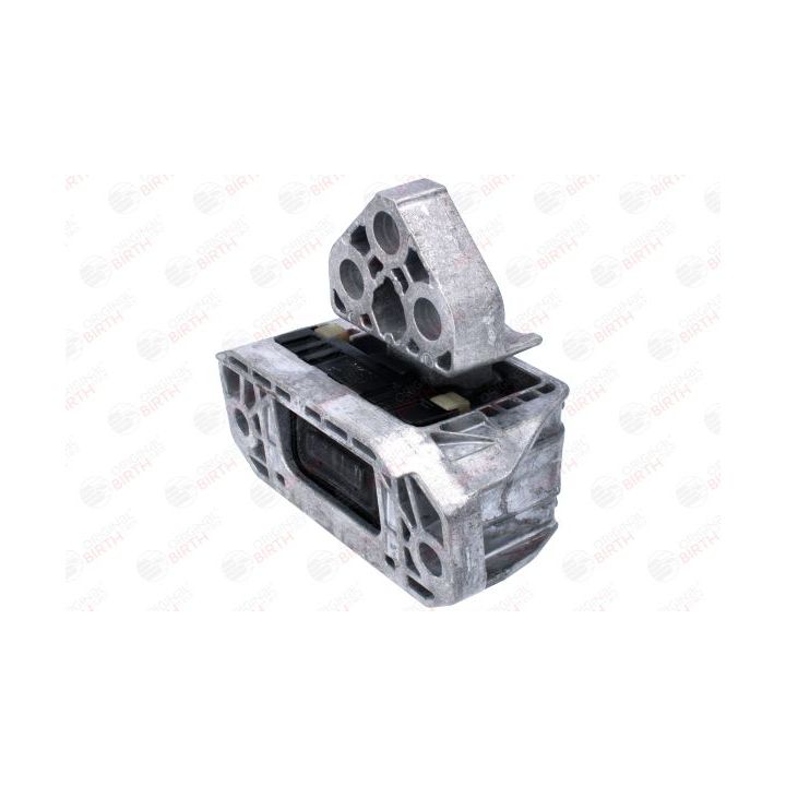 Variklio montavimas BIRTH 53788