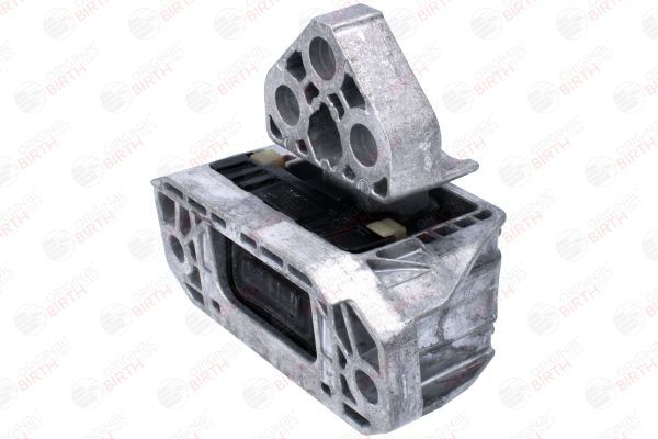 Variklio montavimas BIRTH 53788