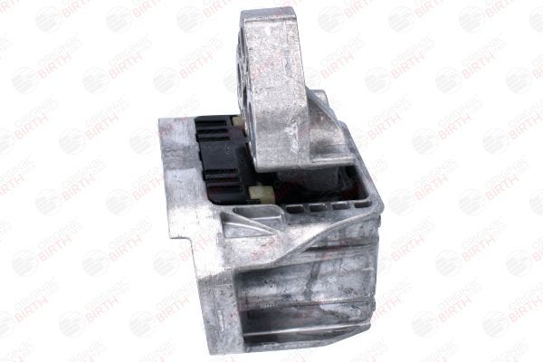 Variklio montavimas BIRTH 53788