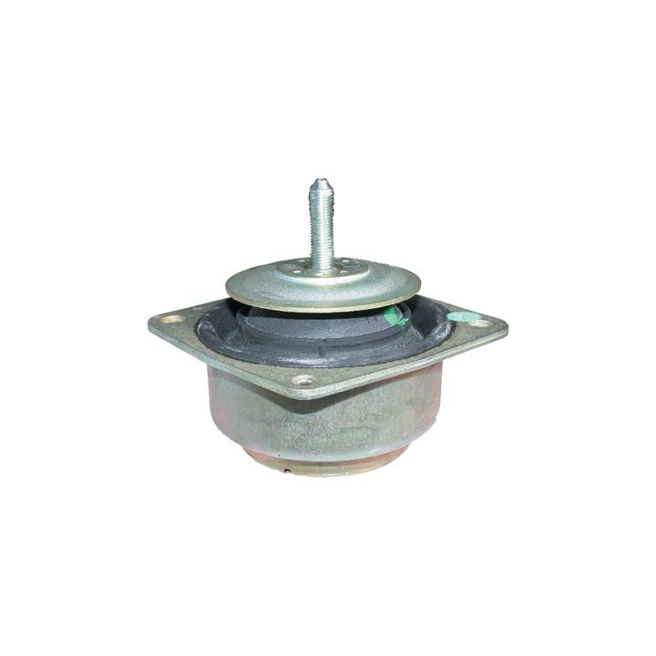 Variklio montavimas BIRTH 5379