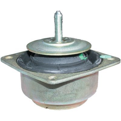 Variklio montavimas BIRTH 5379