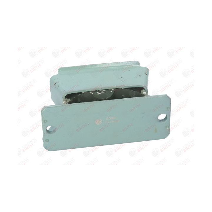 Variklio montavimas BIRTH 5390