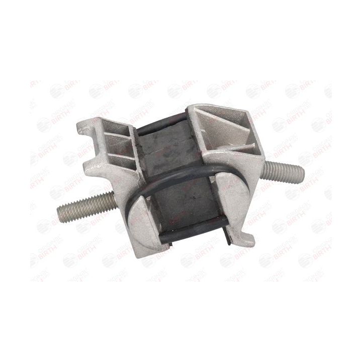 Variklio montavimas BIRTH 5441