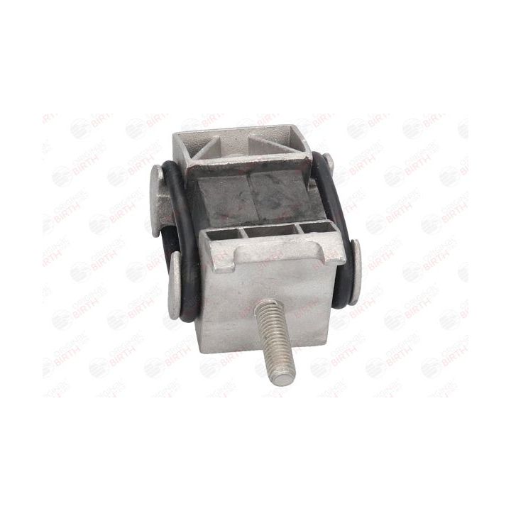 Variklio montavimas BIRTH 5441