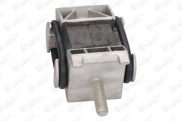 Variklio montavimas BIRTH 5441