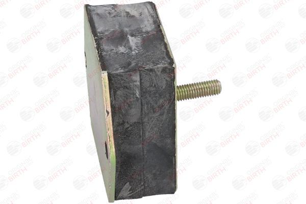 Variklio montavimas BIRTH 5442