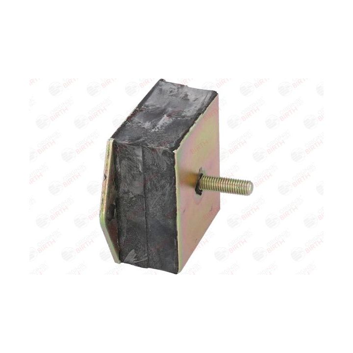 Variklio montavimas BIRTH 5442