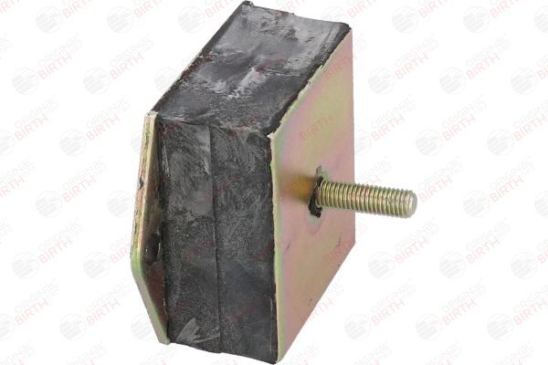 Variklio montavimas BIRTH 5442