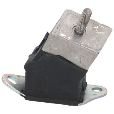 Variklio montavimas BIRTH 5450