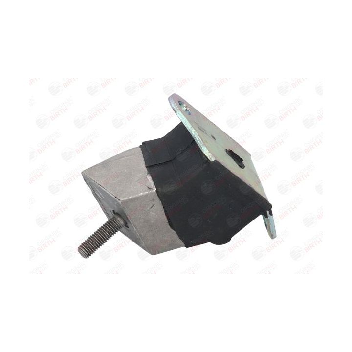 Variklio montavimas BIRTH 5450