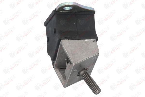 Variklio montavimas BIRTH 5450