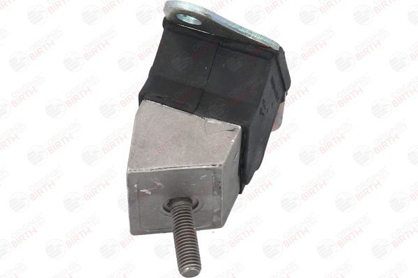 Variklio montavimas BIRTH 5450