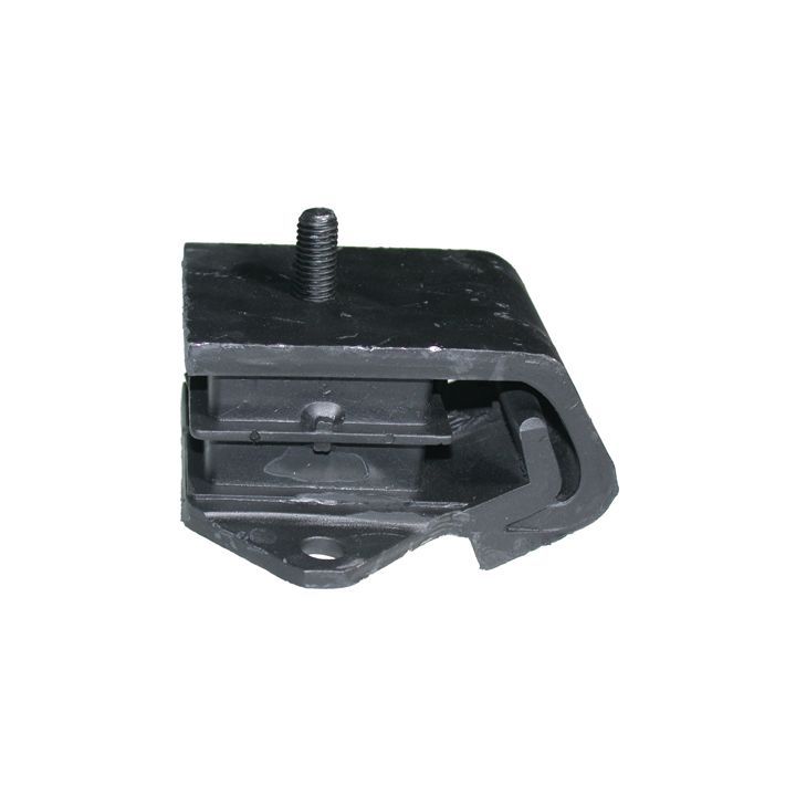 Variklio montavimas BIRTH 5457