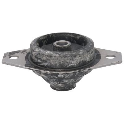 Variklio montavimas BIRTH 5509