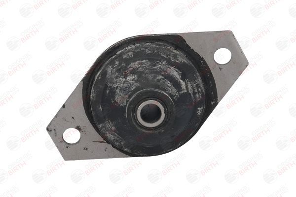 Variklio montavimas BIRTH 5509