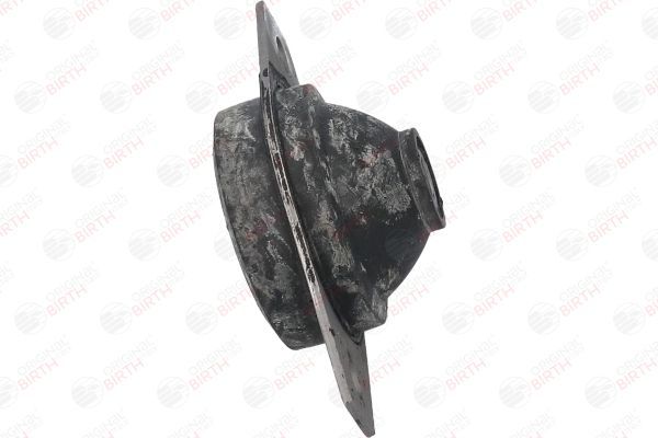 Variklio montavimas BIRTH 5509