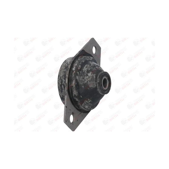 Variklio montavimas BIRTH 5509