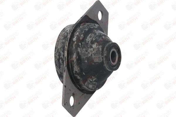 Variklio montavimas BIRTH 5509