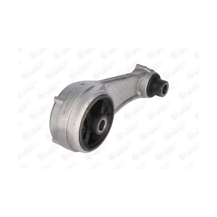 Variklio montavimas BIRTH 5519