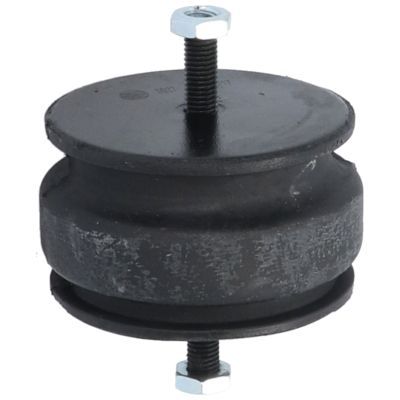 Variklio montavimas BIRTH 5527