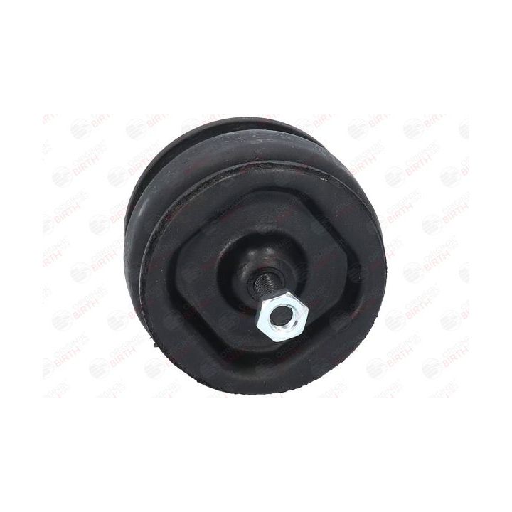 Variklio montavimas BIRTH 5527