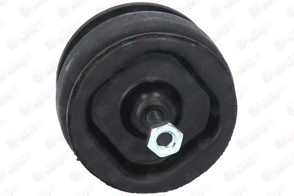 Variklio montavimas BIRTH 5527