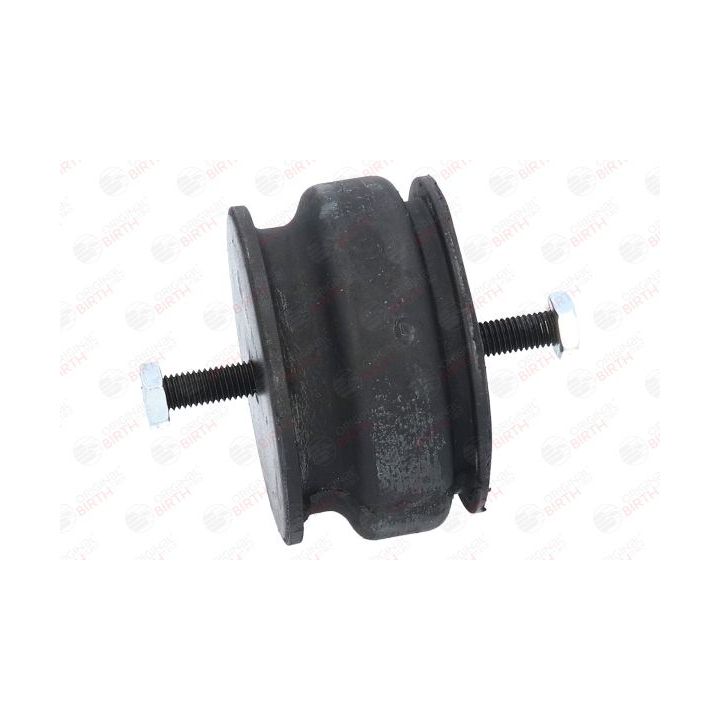 Variklio montavimas BIRTH 5527