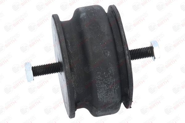 Variklio montavimas BIRTH 5527