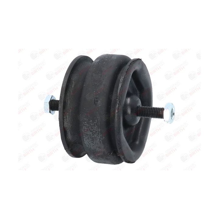 Variklio montavimas BIRTH 5527