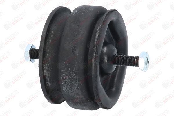 Variklio montavimas BIRTH 5527