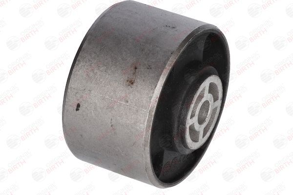 Variklio montavimas BIRTH 5608