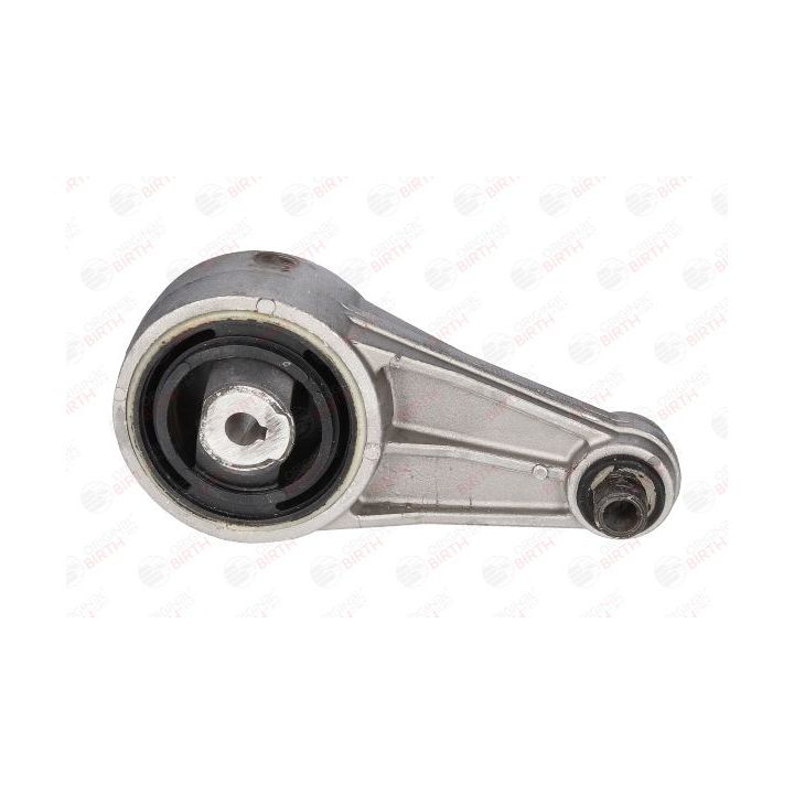 Variklio montavimas BIRTH 5617