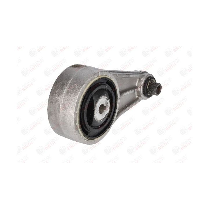 Variklio montavimas BIRTH 5617