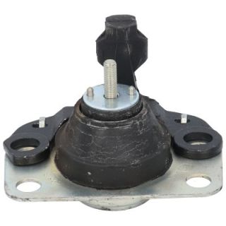 Variklio montavimas BIRTH 5618