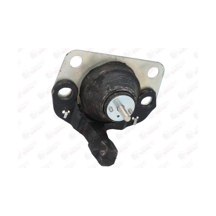 Variklio montavimas BIRTH 5618