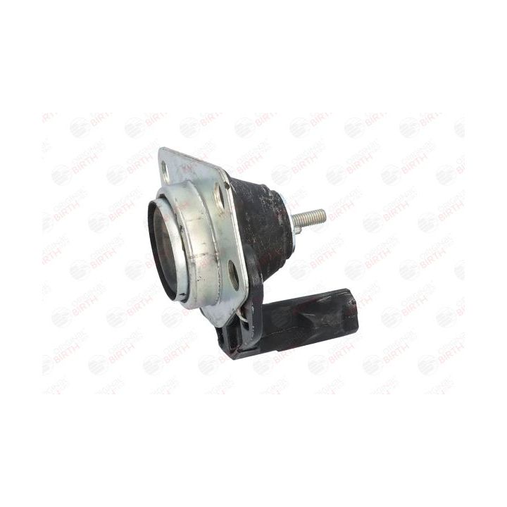 Variklio montavimas BIRTH 5618