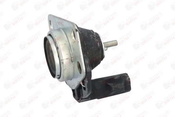 Variklio montavimas BIRTH 5618