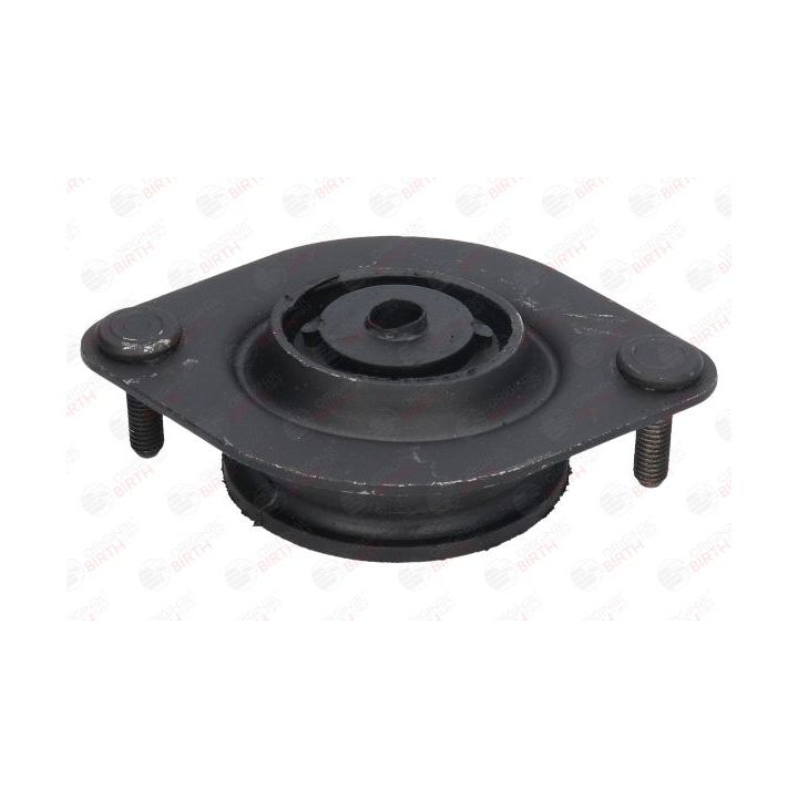 Variklio montavimas BIRTH 5619