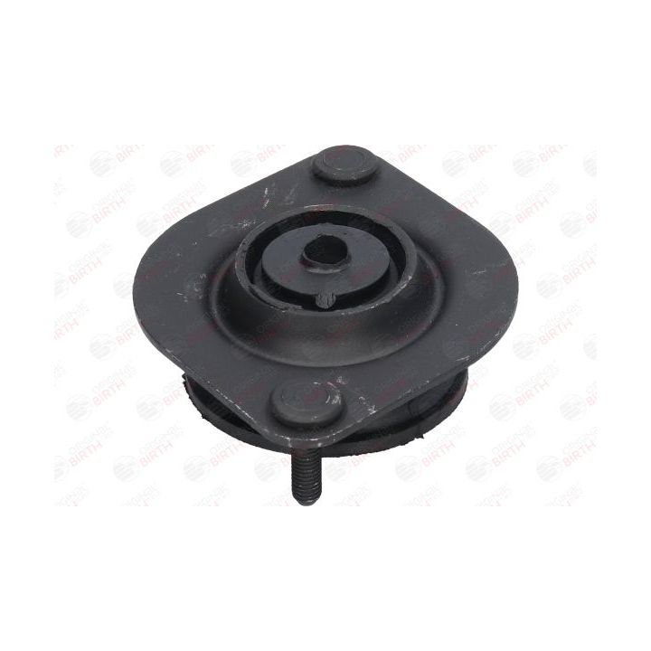 Variklio montavimas BIRTH 5619