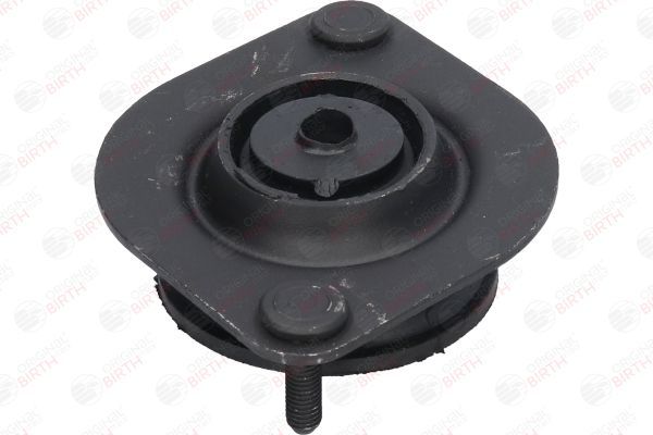 Variklio montavimas BIRTH 5619