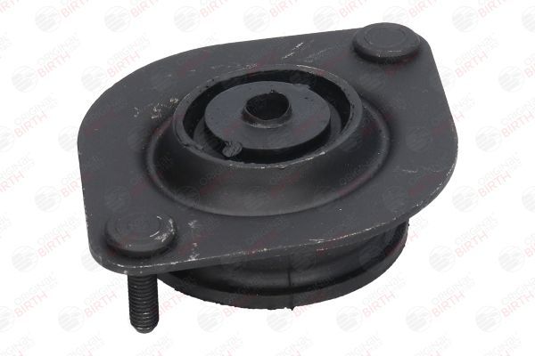 Variklio montavimas BIRTH 5619