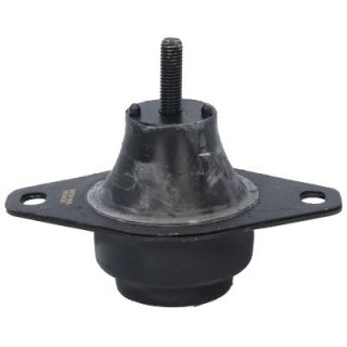 Variklio montavimas BIRTH 5620