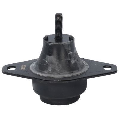 Variklio montavimas BIRTH 5620