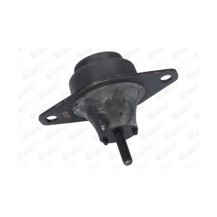 Variklio montavimas BIRTH 5620