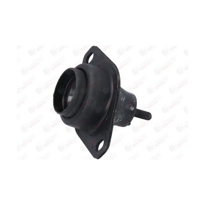 Variklio montavimas BIRTH 5620