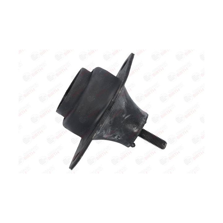 Variklio montavimas BIRTH 5620