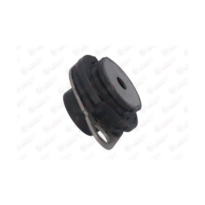 Montavimas, neautomatinė transmisija BIRTH 5621