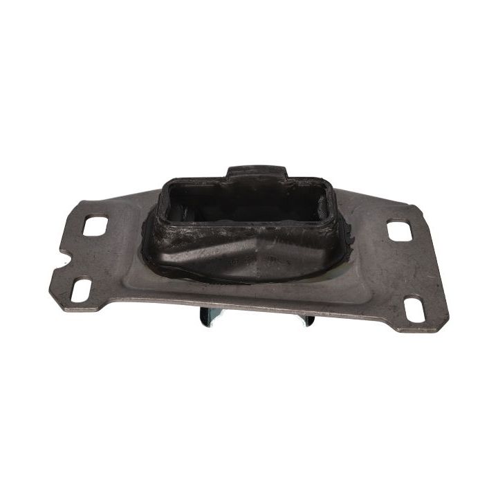 Variklio montavimas BIRTH 57017