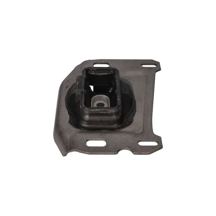 Variklio montavimas BIRTH 57017